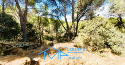 Chalet en San Martín de Valdeiglesias