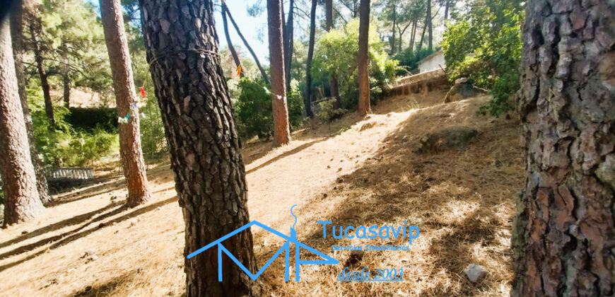 Parcela urbana en Rozas de Puerto Real