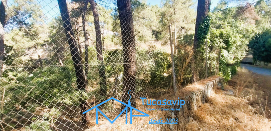 Parcela urbana en Rozas de Puerto Real