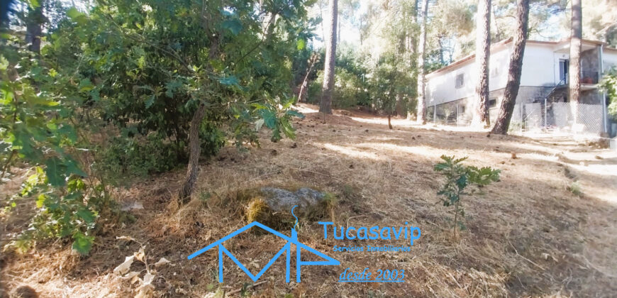 Parcela urbana en Rozas de Puerto Real