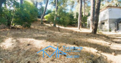 Parcela urbana en Rozas de Puerto Real