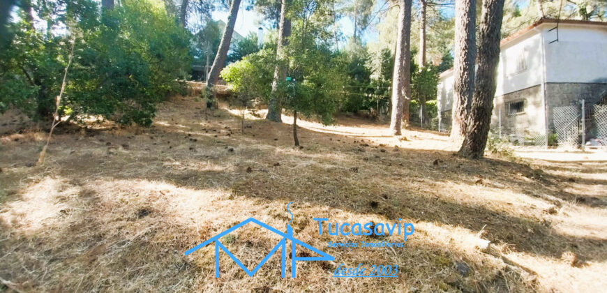 Parcela urbana en Rozas de Puerto Real