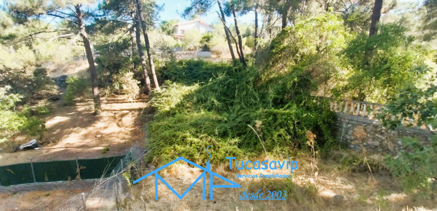 Parcela urbana en Rozas de Puerto Real