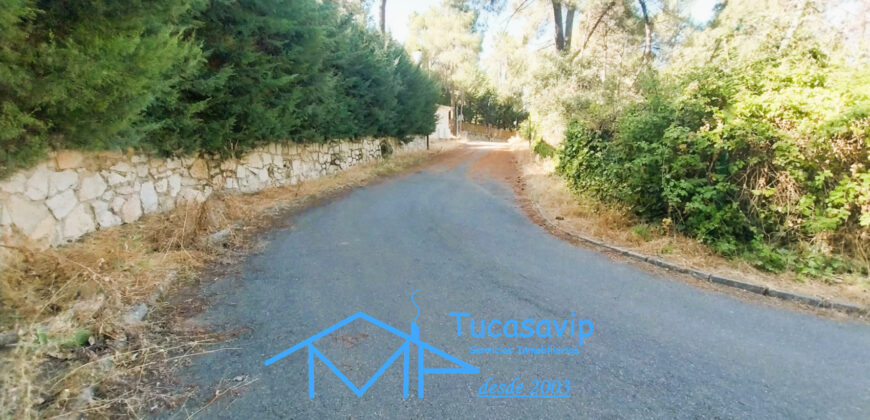 Parcela urbana en Rozas de Puerto Real