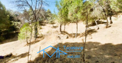 Parcela urbana en San Martín de Valdeiglesias