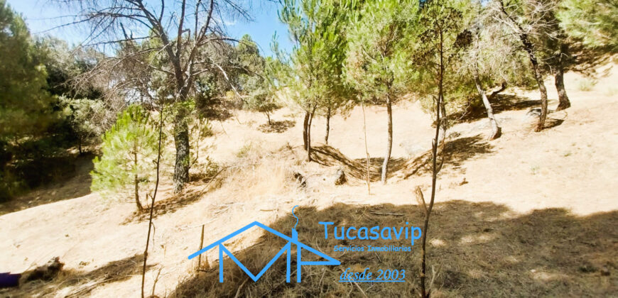Parcela urbana en San Martín de Valdeiglesias