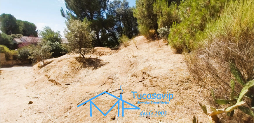 Parcela urbana en San Martín de Valdeiglesias