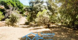 Parcela urbana en San Martín de Valdeiglesias